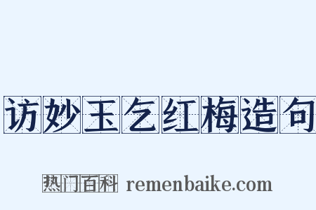 访妙玉乞红梅造句是什么意思的图片